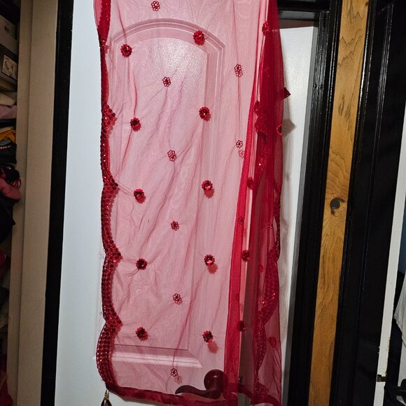 Women's South Asian Traditional Fancy 3 piece set - Picture 6 of 9